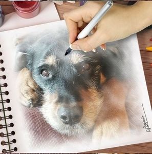 Meet your Posher, Bonnie